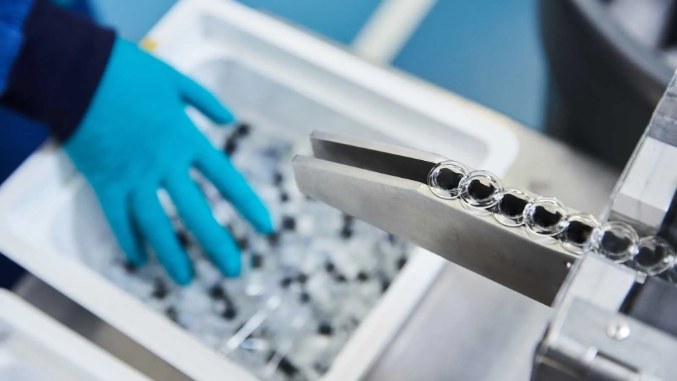 Flacons en verre alignés sur un dispositif de conditionnement dans le cadre de la production des vaccins grippe de CSL Seqirus