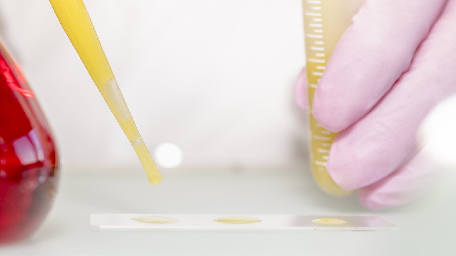 Main gantée tenant un tube gradué contenant un liquide jaune, avec une pipette